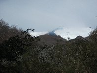nte Cagliato-20110220 004